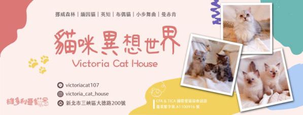 Facebook 社群脸书封面照片范例