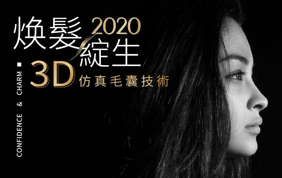 知名 3D 魔髮仿真毛囊工作室