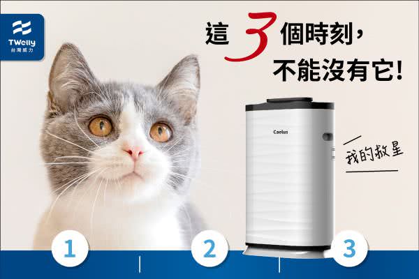 客戶Instagram廣告組圖包範例